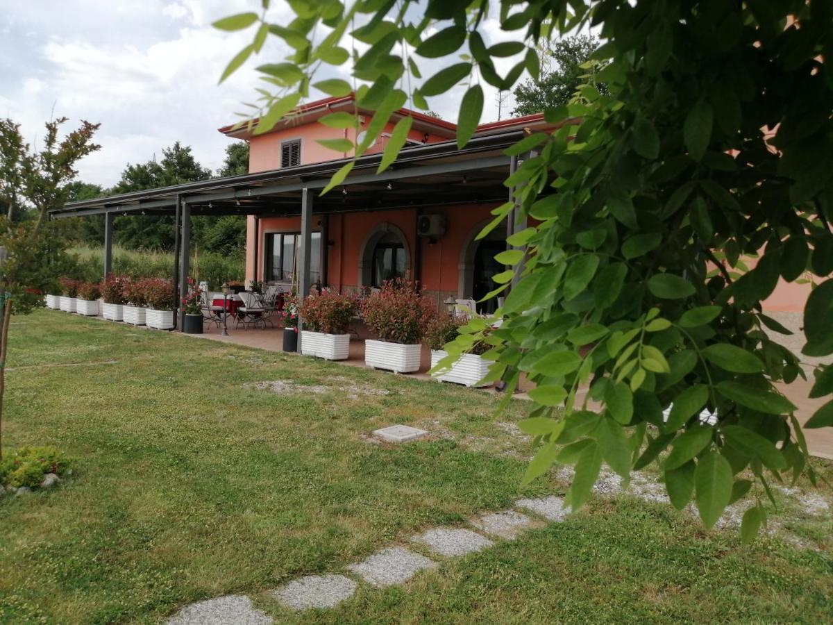 Salisu Country House Guest House Mignano Monte Lungo Exterior foto